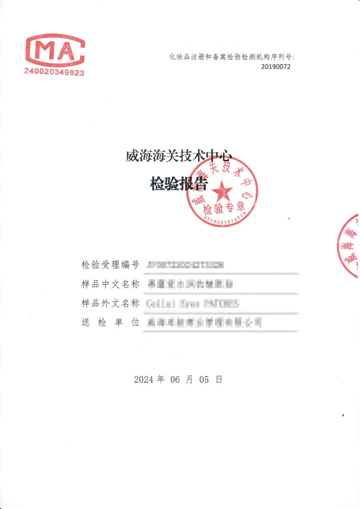 Chinese Test Report cover page