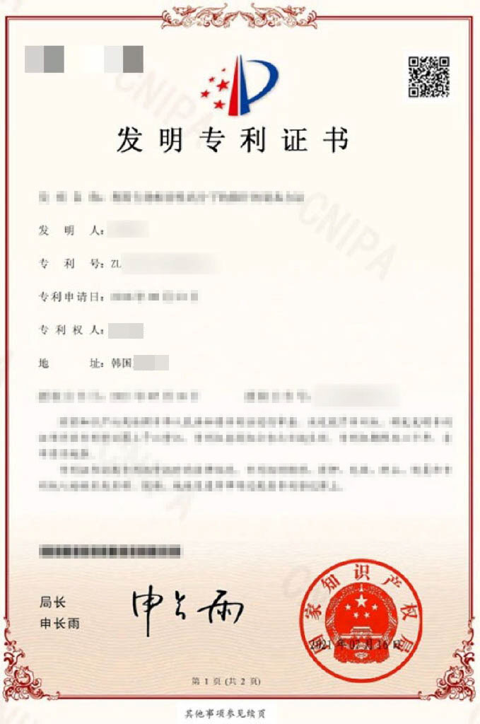 Chinese patent document
