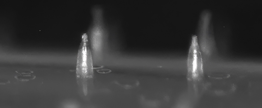 Microneedle SEM image 1